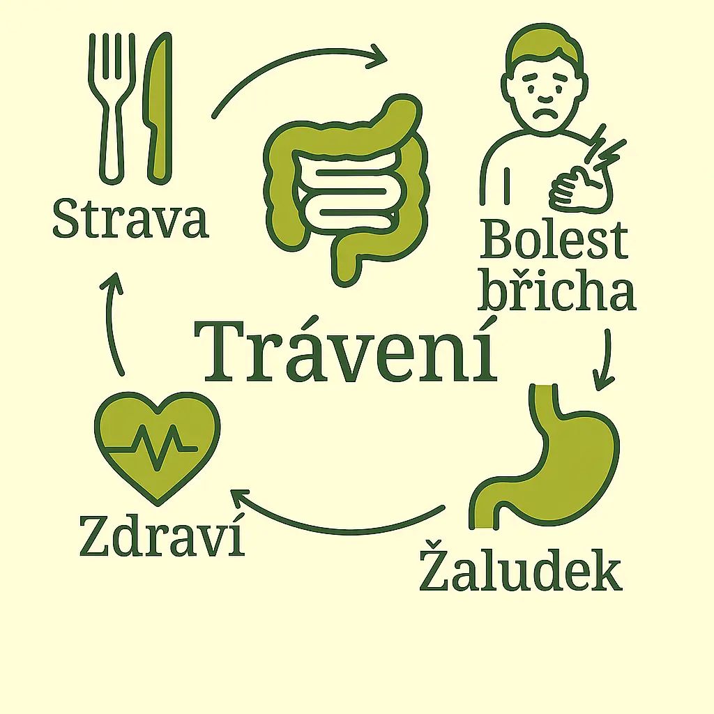 Graf: Trávení a střeva – podpora zdravé funkce trávicího systému